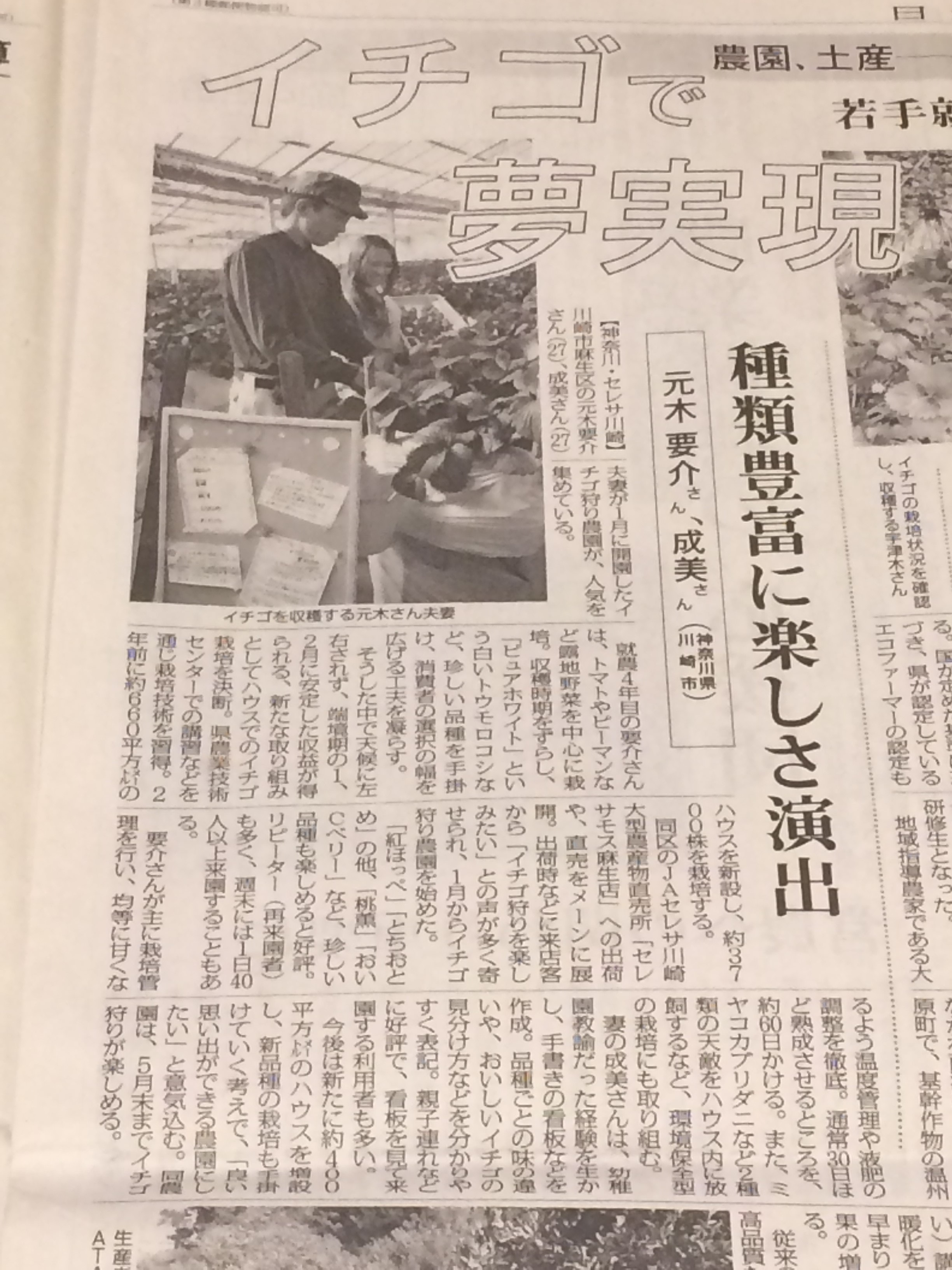 神奈川新聞(2016年1月29日)