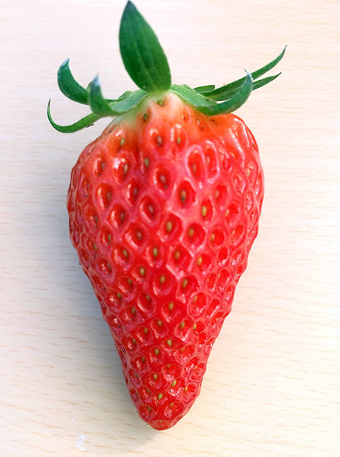 ichigo_s02